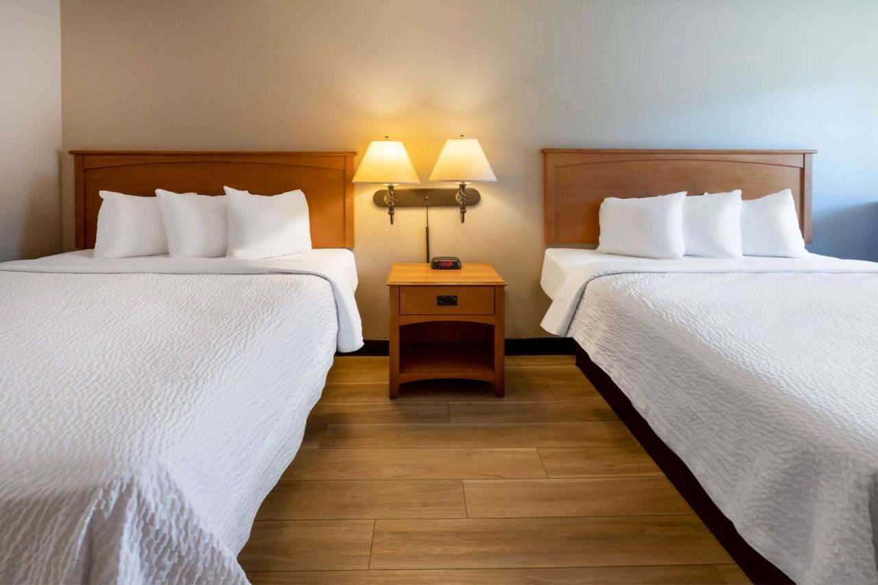 Days Inn By Wyndham Birch Run Eksteriør billede
